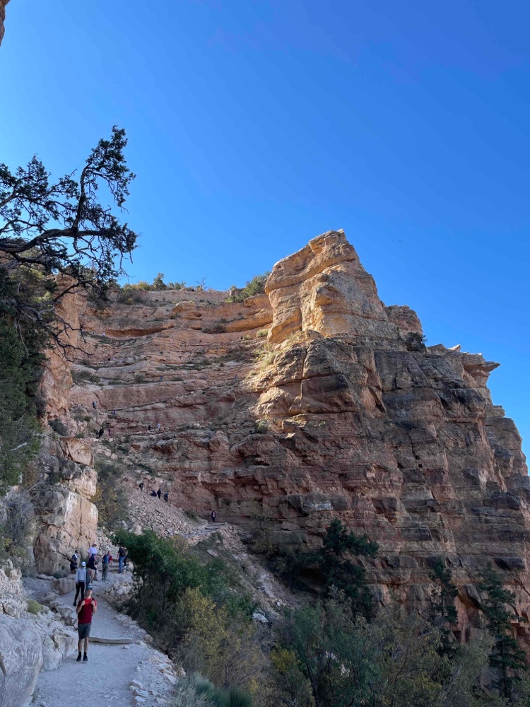 Tater Ridge Az Cedar Ridge Trail, Arizona | Relive