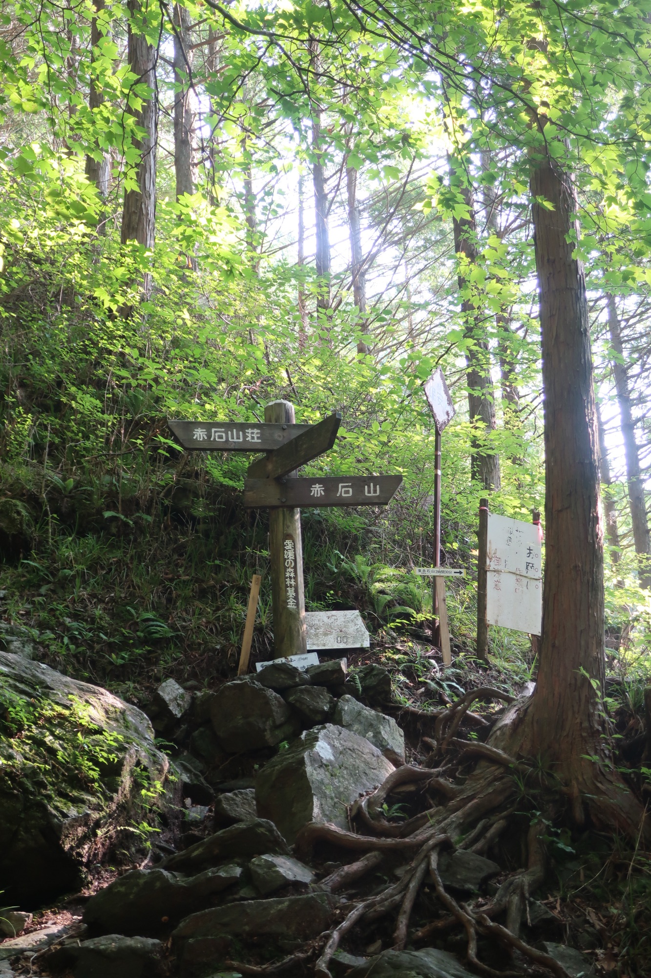 Relive 八巻山 東赤石山 真夏のロックガーデン