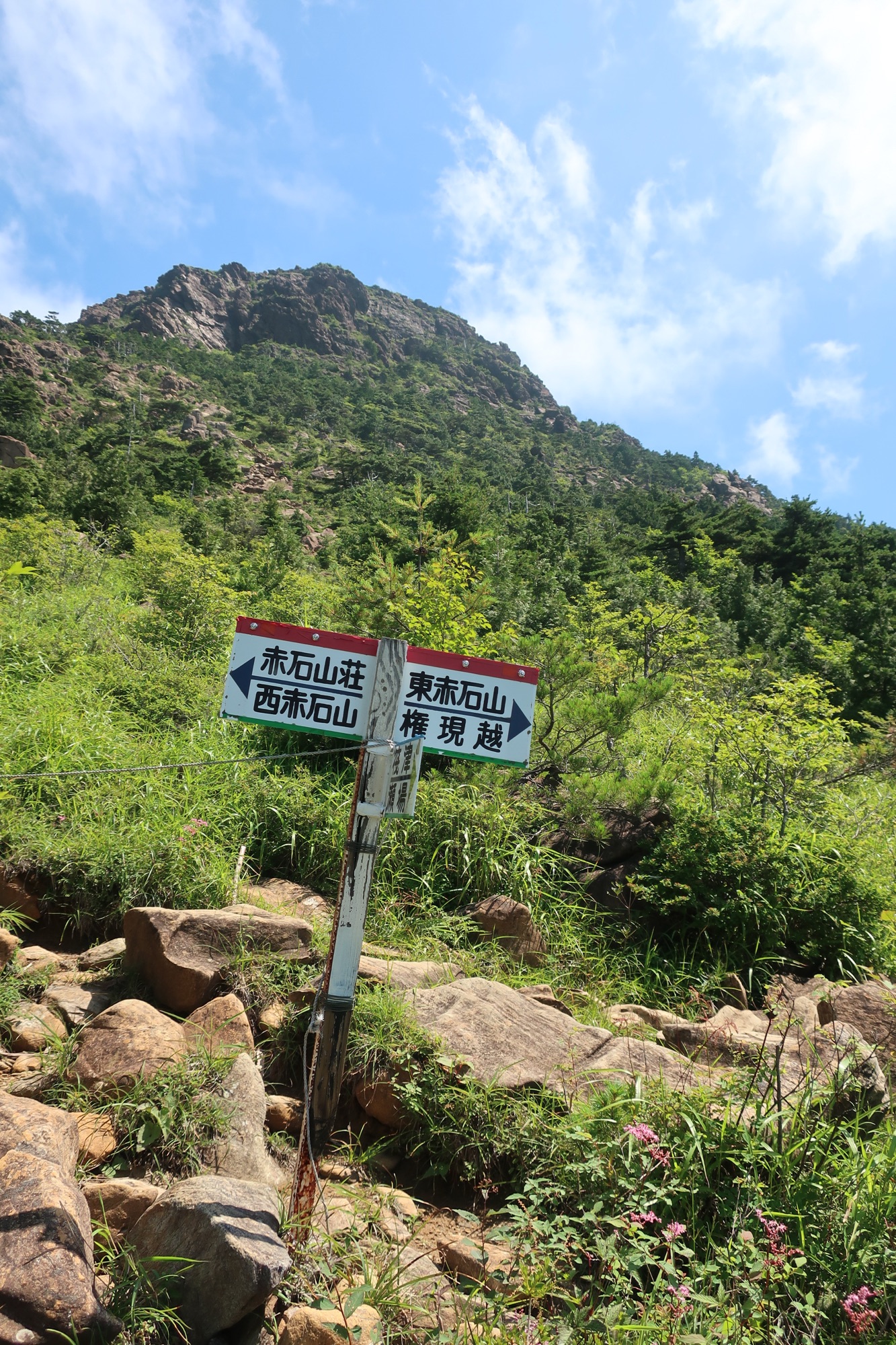 Relive 八巻山 東赤石山 真夏のロックガーデン