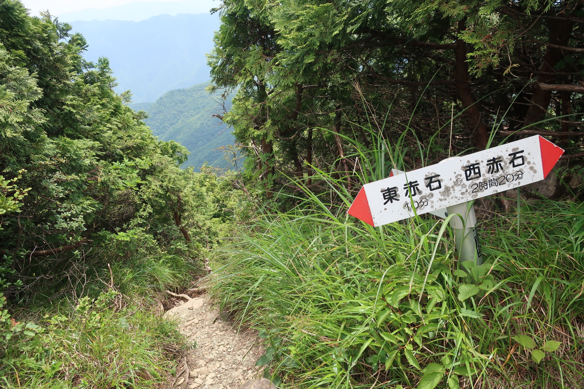 Relive 八巻山 東赤石山 真夏のロックガーデン