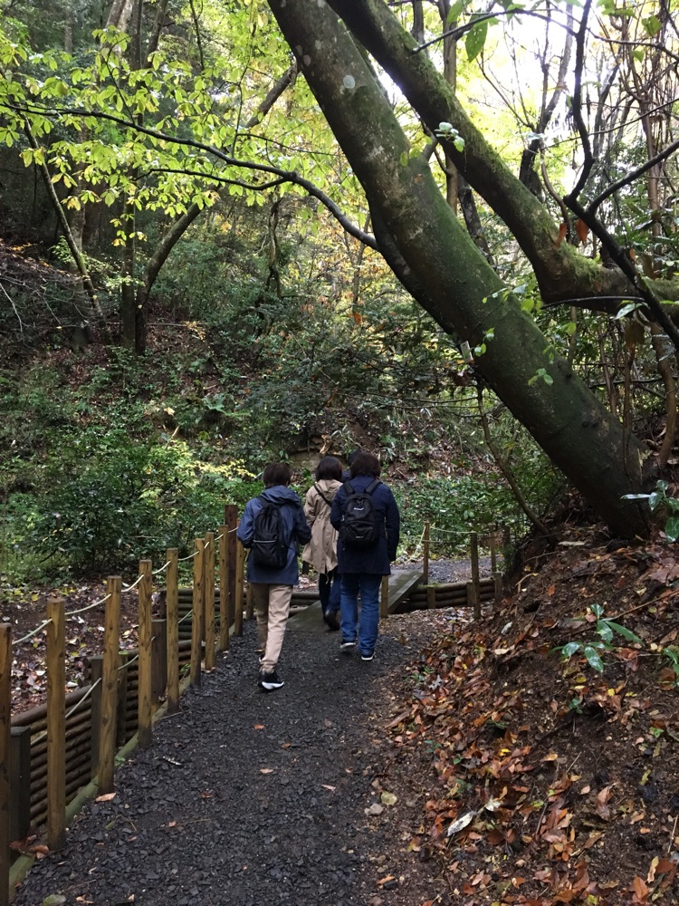 Relive 東北大学 植物園
