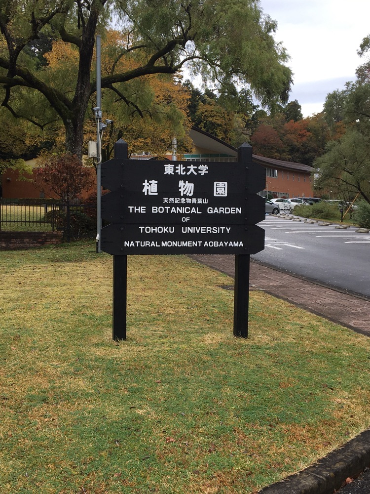 Relive 東北大学 植物園