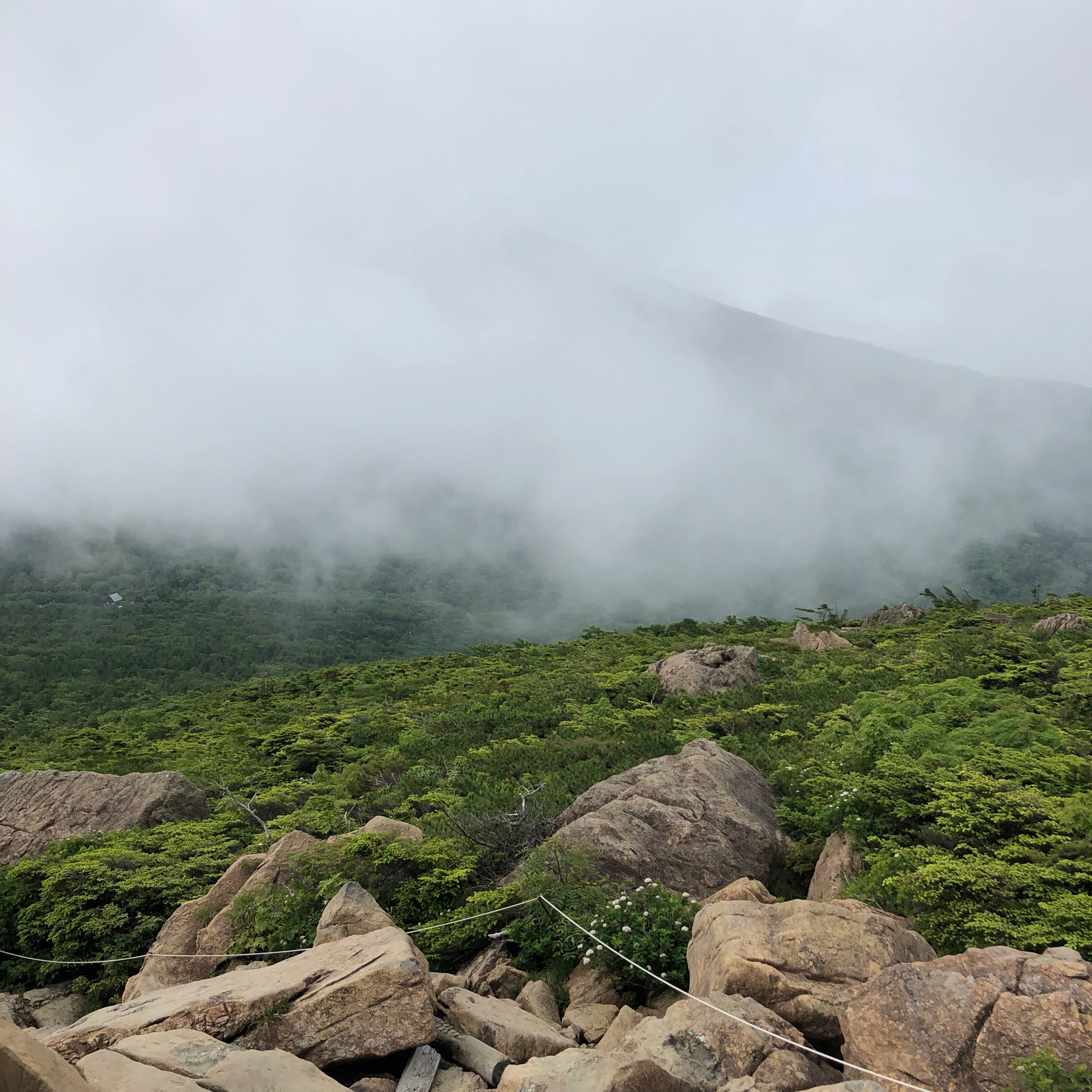 Relive 19 07 14 早池峰山ピストン