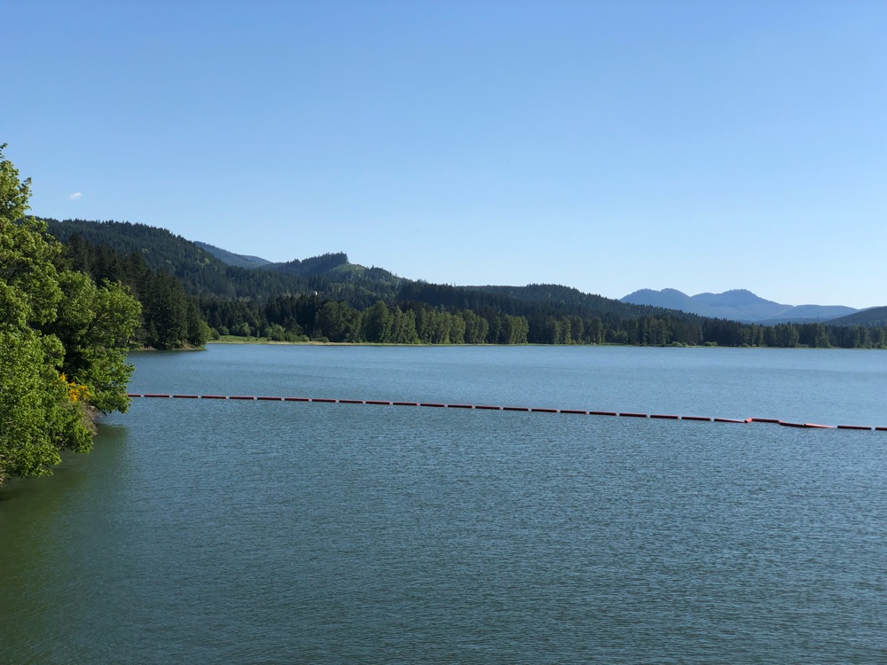 Relive Around Cottage Grove Lake Via London Rd Reservoir Rd