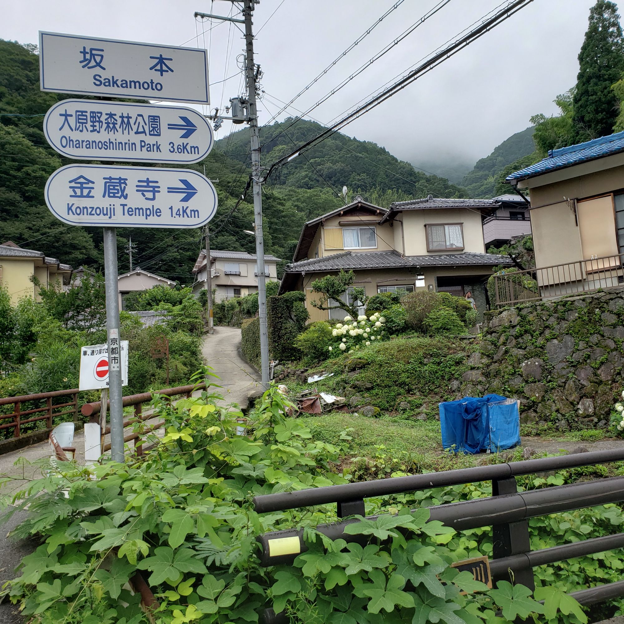 Relive 亀岡 湯の花温泉ラン